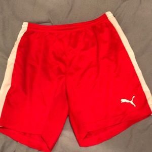Puma women’s running shorts